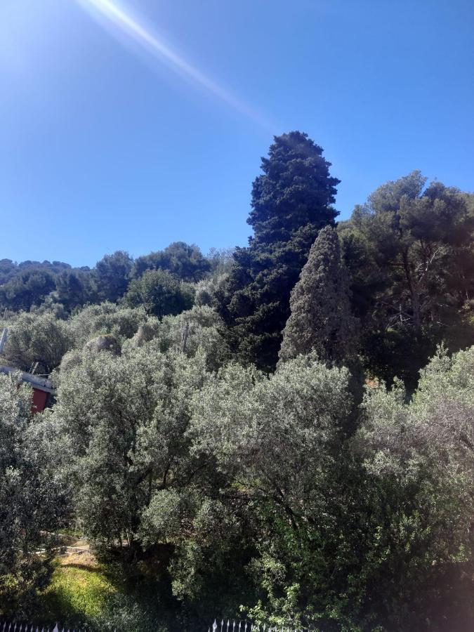 Spectacular Sea View - 3 Minutes Walk From The Sea Βίλα Laigueglia Εξωτερικό φωτογραφία