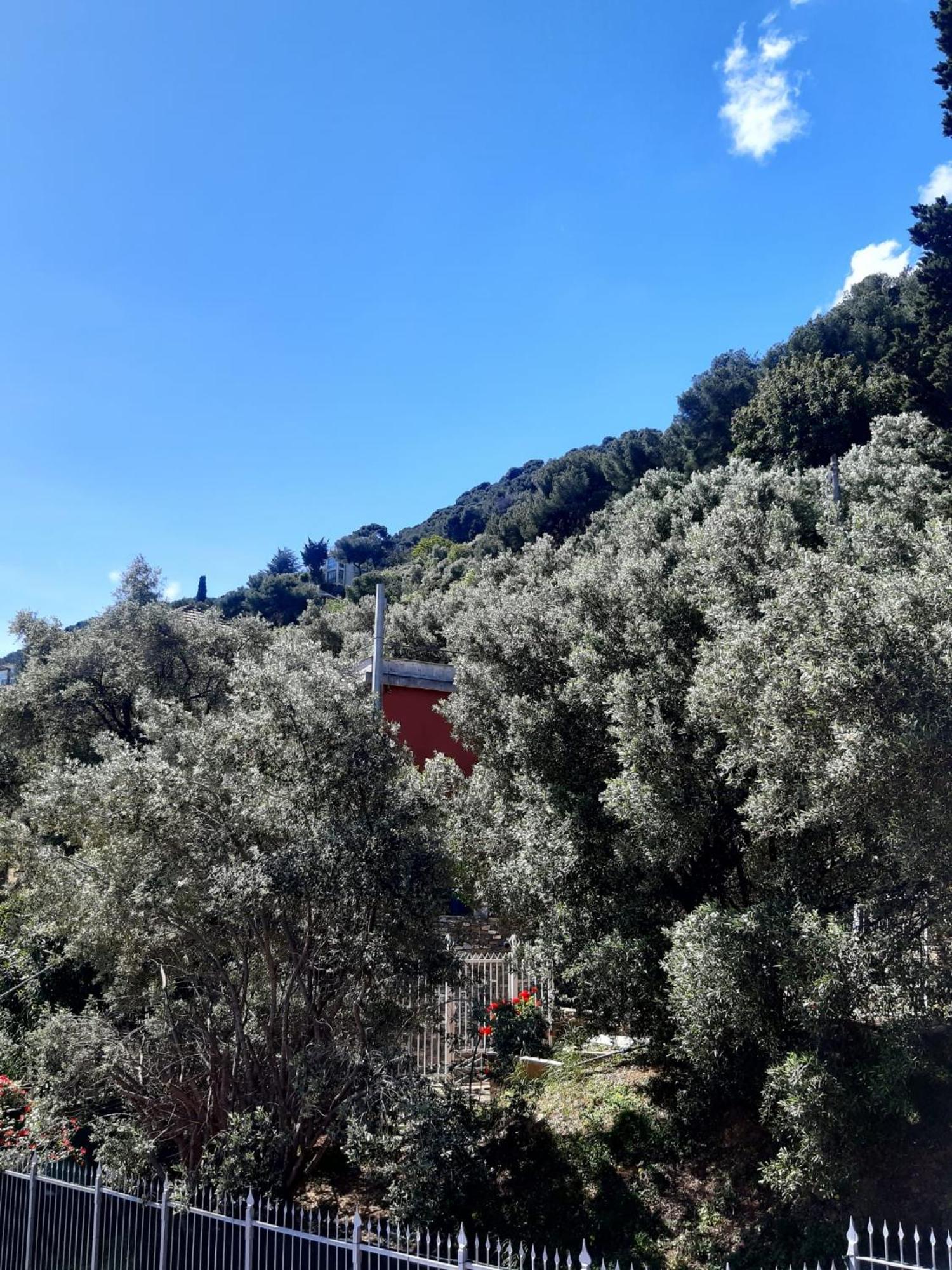 Spectacular Sea View - 3 Minutes Walk From The Sea Βίλα Laigueglia Εξωτερικό φωτογραφία